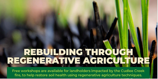 Rebuilding through Regenerative Agriculture