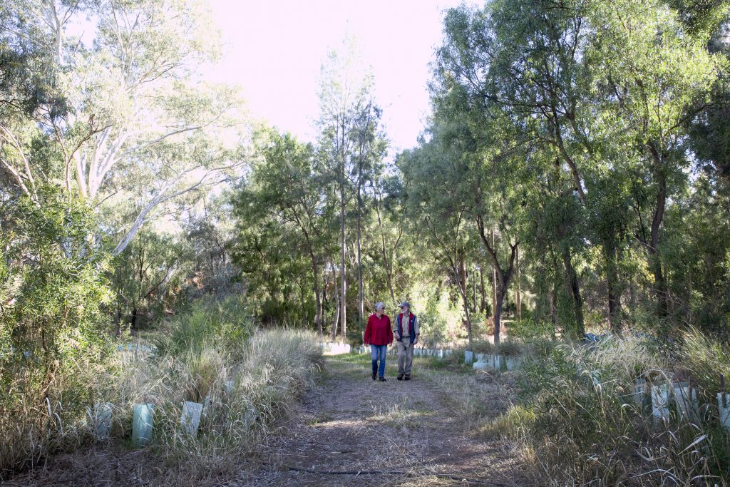 Two people walk into a productive food forest